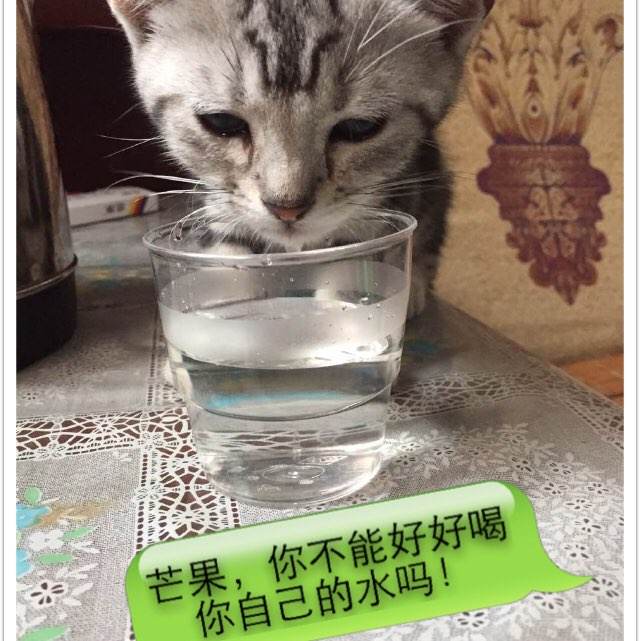集体土地使用证换不动产证可以买卖吗